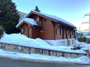 Chalet Alis Familien Haus Mitte vom Berg
